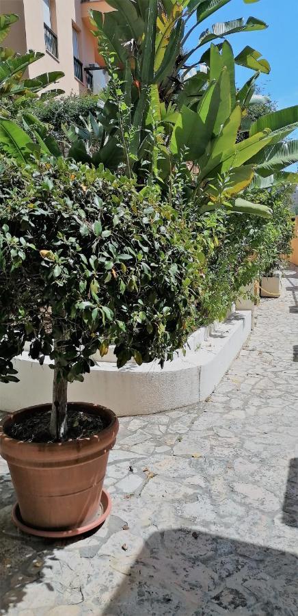 Beach & Golf Design Apartment Marbella Eksteriør bilde